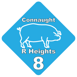 CNRH8 Pig